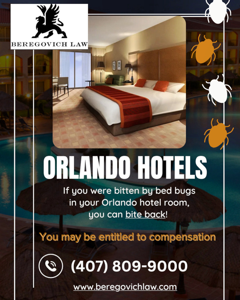orlando-hotels-bed-bugs-beregovich Orlando Hotels Bed Bugs