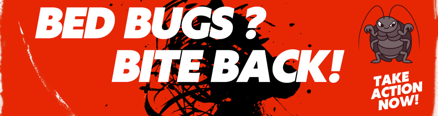 bed-bugs-florida Bed Bugs